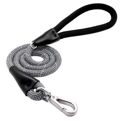 Berry New Item Soft Foam Handle Reflective Nylon Pet Dog Leash